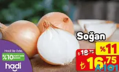 SOĞAN KG SOĞAN KG